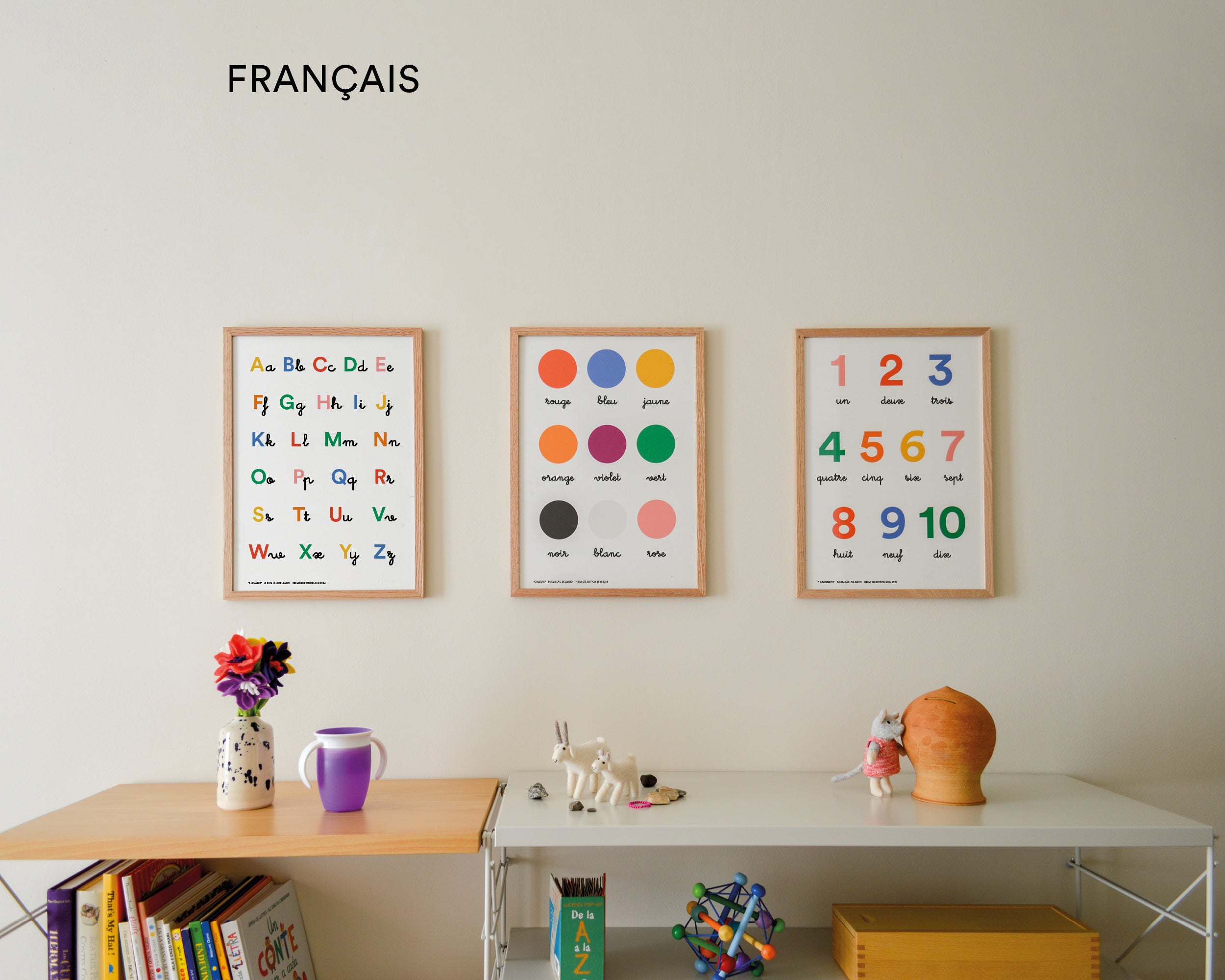 Pack of 3 educational posters (French)